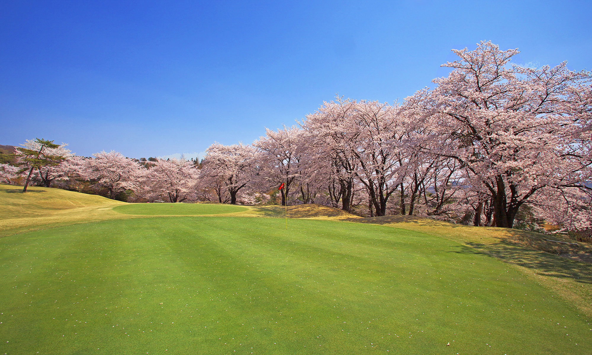 Ohara Golf